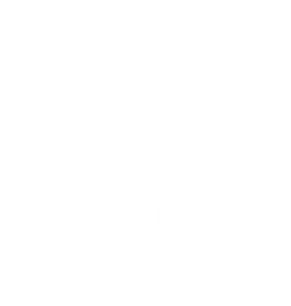 shopthenextchapter logo